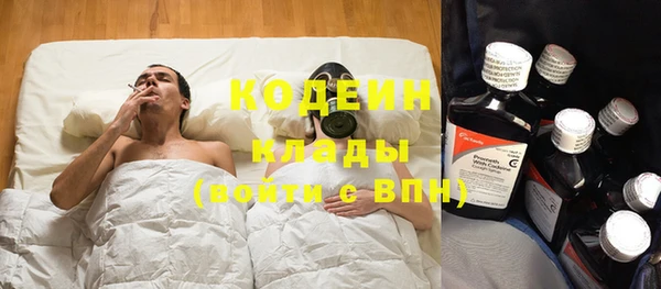 индика Волосово
