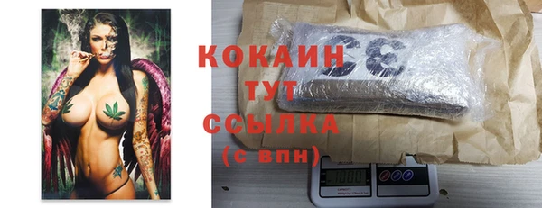 индика Волосово