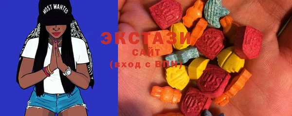 ECSTASY Дегтярск