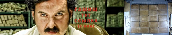 шишки Володарск