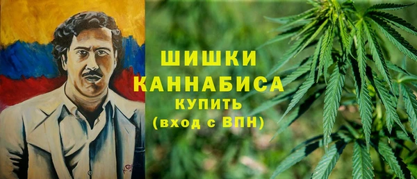 шишки Володарск