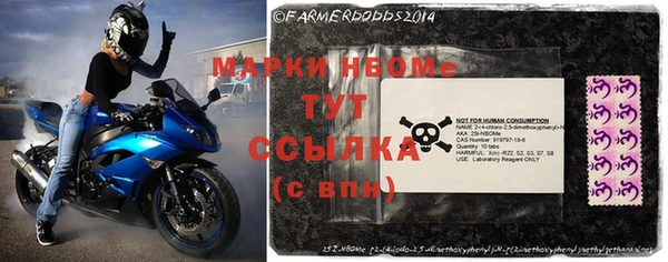 индика Волосово