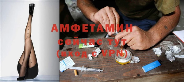 индика Волосово